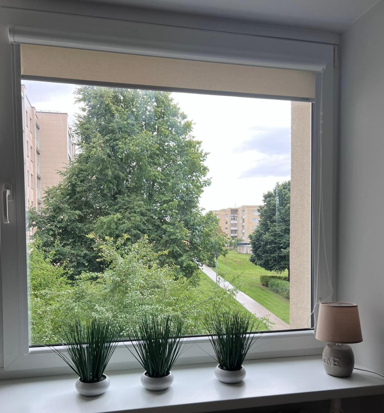 Sauleti Apartamentai Trakuose/Sunny Apartment In Trakai Exteriér fotografie